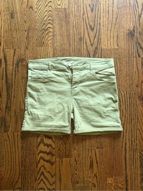Timoteo Men’s Sage Green Stretch Shorts